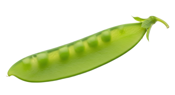 Isolated green sugar snap pea pod, healthy eating with fresh vegetables, produce and garden