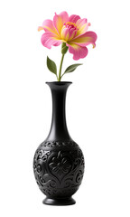Pink Dahlia Flower in Black Vase with Transparent Background, 3D Realism Graphic for Web Design