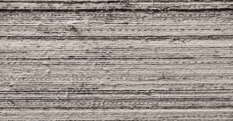 Close-Up of Book Pages Showing Textured Paper Edges