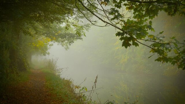 Desolate path beside foggy river disappearing into pale silence filled with thriller suspense. Fog forming surreal mystical ambience, Ghost Festival. Lonely forest walkway along still water fading