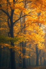 Fototapeta premium Vibrant Autumn Trees