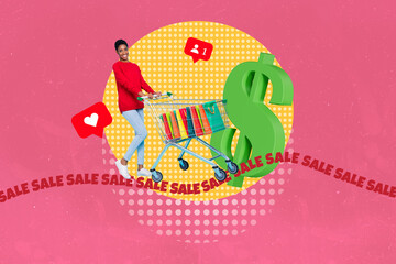 Image 3d full pop trend collage of happy girl push cart bags dollar money coupon blogging like reaction finale sale bargain shopaholic