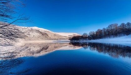 Fototapeta premium minimalist winter landscape with beautiful reflection in the water