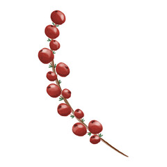 Illustration of a branch with red berries in a soft watercolor style. Ideal for winter and Christmas designs, greeting cards, packaging, or festive decoration projects.