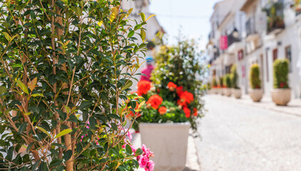 a vibrant street in a Mediterranean town, lined with potted flowering plants, under the bright sun, with people leisurely walking by, creating a lively and colorful atmosphere.