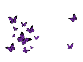 Purple Butterflies Fluttering in Air isolated on a transparent background