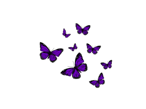 Group of purple butterflies flying isolated on a transparent background
