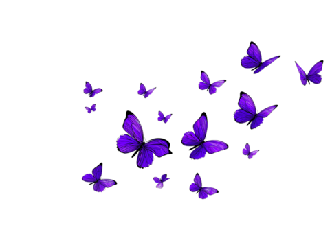 Purple butterflies flying in air isolated on a transparent background