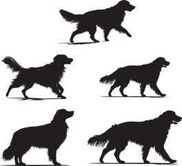 Golden Retriever Dog Silhouettes in Motion canine
