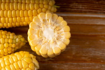 Sweet corn ears closeup. Fresh maize cob macro texture, autumn sweetcorn, corncob close up