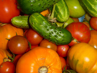 Fresh Harvested Cucumbers and Ripe Tomatoes