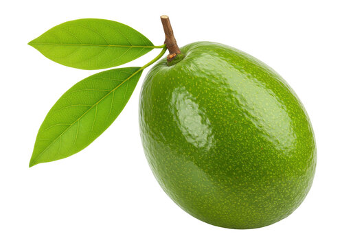 Fresh green avocado with leaves isolated on transparent background, healthy fruit rich in vitamins for vegan diet and healthy lifestyle