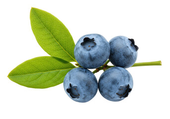 Fresh blueberries with green leaves isolated, healthy fruit antioxidant rich in vitamins for food and nutrition concepts