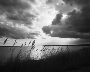 Dark clouds over still water, tall grass