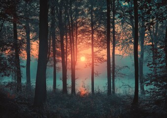 Misty forest sunrise, vibrant colors