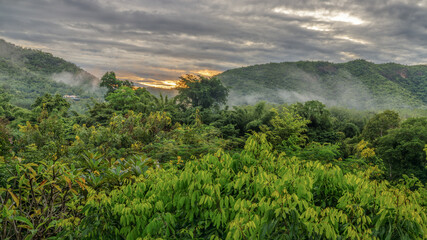 waking up in paradies - Aufwachen im Paradies