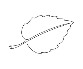Continuous one line drawing of leaf. Leaf hand drawn sketch. Autumn harvest. Vector illustration
