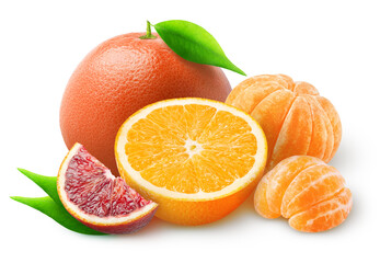 Group of citrus fruits. Orange, grapefruit, tangerine, blood orange isolated on white background