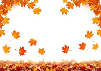 Vibrant autumn maple leaves create a colorful frame and border on a pristine white background