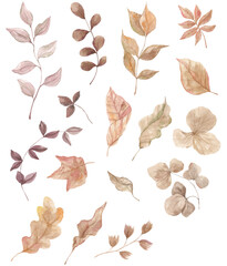 Autumn composition, wreaths. Watercolor texture. Dry autumn leaves. Decor, November, October. Set of elements for decoration. Forest compositions. Berries.