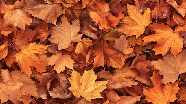 A pile of fallen leaves in various shades of brown and orange, arranged to create a warm, textured autumnal background that captures the cozy, earthy vibe of the fall season.