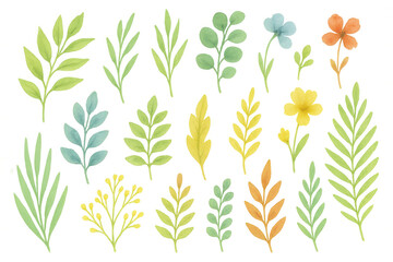 Naklejka premium Watercolor botanical collection set with various leaves and flowers, spring and summer nature illustration on transparent background