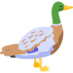 A cartoon mallard duck with green head brown body and blue accents stands with yellow legs and feet against a transparent background illustrating a simple avian graphic