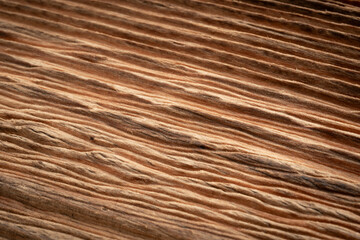 Fototapeta premium Old wood textured background. Dark driftwood surface, burnt wood brushing, macro brown floor