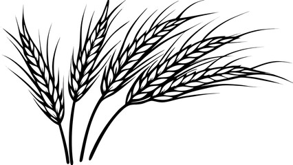 Black and white illustration of wheat stalks