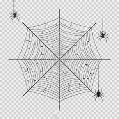 Fototapeta premium Spider and Web Vector