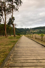 Fototapeta premium Rodiles Beach in Villaviciosa, Spain, under cloudy weather with soft waves, wet sand, and a calm, moody coastal atmosphere.