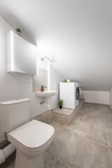 Modern Bathroom and Laundry Space with Minimalistic Aesthetic and Neutral Tones