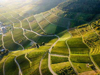 Aerial View of Moselle Vineyards