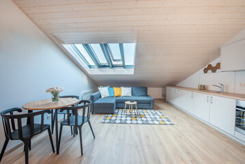 Bright Modern Home Attic Studio with Kitchen and Cozy Living Room Area