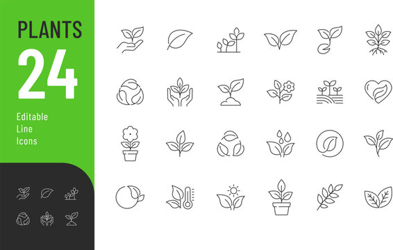 Plants Line Editable Icons set. Vector illustration in modern thin style of nature related icons: leaf, twig, potted plant, and more. Isolated on transparent background.