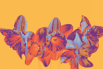 Pop style digital flowers, strong color filter in orange, violet, and blue on pale apricot. Minimalist, playful, contemporary aesthetic for creative decor or print
