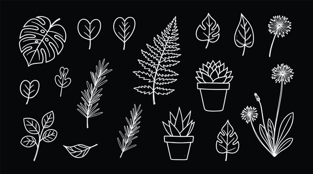 Hand-drawn floral and heart designs, whimsical white sketches on black background, decorative romantic illustration for craft, design, and invitations