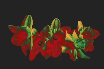 Dark dramatic digital flowers, red and green tonal processing on black. Neon-lit mood, bold reinterpretation suitable for edgy, futuristic, or nightclub style visuals