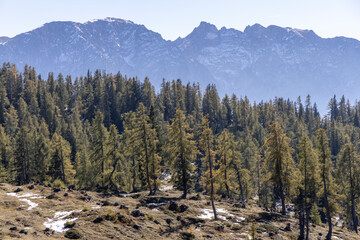 landscape on Tauplitz Alm in autumn, Styria, Austria 