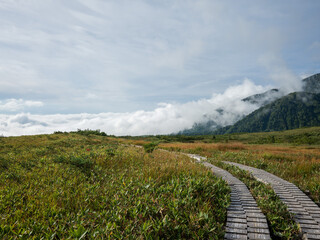 弥陀ヶ原 立山黒部アルペンルート 富山県立山町