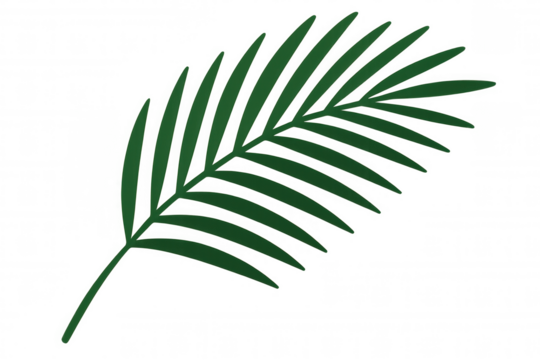Green tropical palm frond vector illustration on transparent background, symbolizing nature, summer, and vacation - Powered by Adobe