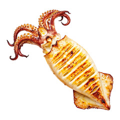 Grilled squid with light charring, isolated on transparent background, png