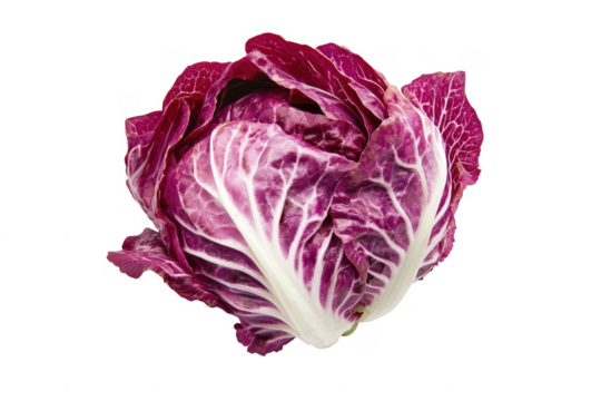 Red Leaf Vegetable isolated on a transparent background