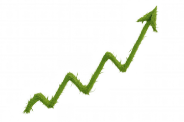 Green grass growth chart arrow symbol going up, representing business success, finance, sustainability on transparent background