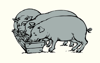 Vector drawing. Pigs eating rhe food