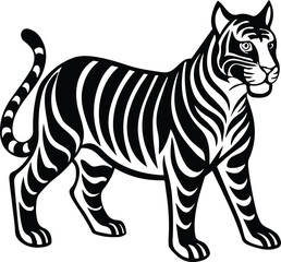 Zebra cartoon vector illustration with striped design and wildlife theme