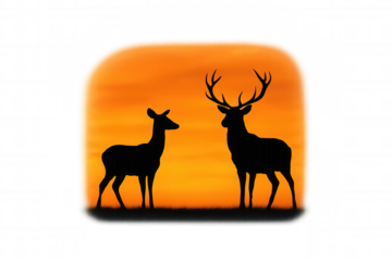 Deer couple silhouette standing on grass against a vivid orange sunset, symbolizing romance and wild nature