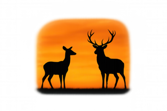 Deer couple silhouette standing on grass against a vivid orange sunset, symbolizing romance and wild nature