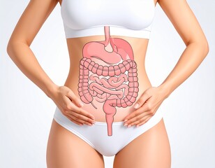 Female Abdomen with Schematic Digestive Tract Illustration