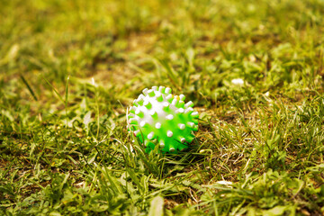 Green spiked dog ball on a grass field